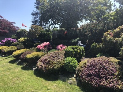 Quiet, private, bungalow w fenced yard. 