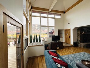 TV, fireplace, ping pong