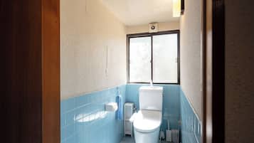 Secador de pelo, toallas