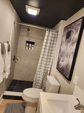 Shower, hair dryer, towels, soap - Bright & Spacious Studio Close To CLT Airport & Charlotte (Gastonia)