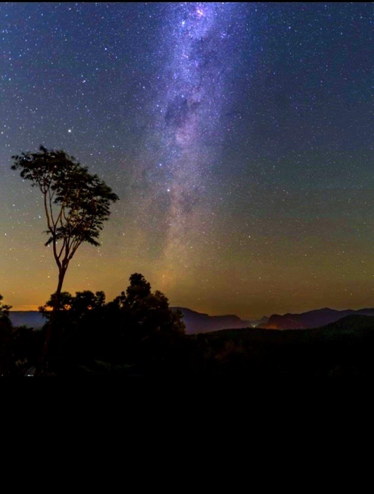 Elevated Getaway: Your Own Treehouse Hideaway — image 4