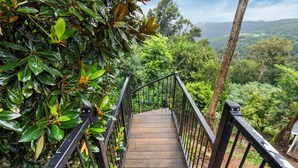 Eine Holztreppe mit Metallgeländern führt durch dichtes Laubwerk, umgeben von üppiger Vegetation und einer entfernten Aussicht auf eine hügelige Landschaft.