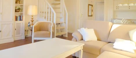 電視、DVD 播放機