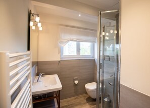 Shower, hair dryer, towels