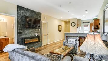 TV, fireplace, books