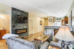 TV, fireplace, books
