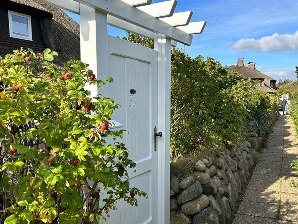 Eine weiße Tür mit der Nummer 53, eine Steinmauer und ein Garten mit grünem Laub und roten Beeren.