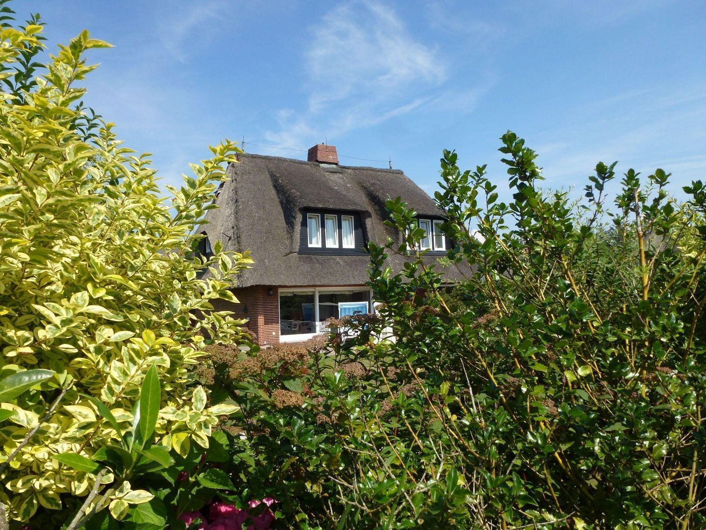 A house with a thatched roof, surrounded by dense greenery.