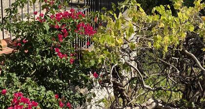 Pretty Fisherman's cottage 2 minutes from the beach! Sea/city view! Picturesque street! Patio