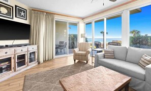 TV, DVD player, books, video library