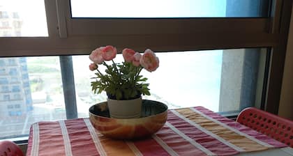 stunning studio on the ocean