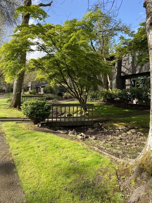 Parco della struttura