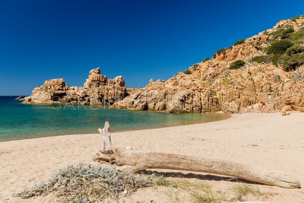 A beach with clear turquoise water, rocky cliffs, and a sandy shore with driftwood. - Casa Rosa Arancio: wonderful seaview, shared pool, terraces and BBQ - Sardinia Unlimited (Costa Paradiso)
