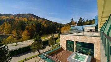 Double Room, Mountain View | Balcony