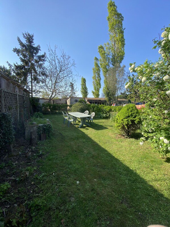 Un jardin avec une table et des chaises, entouré de verdure et d’arbres.