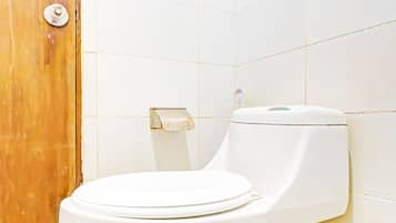 Shower, free toiletries, towels