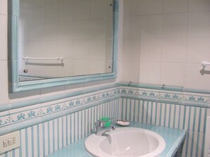 Combined shower/tub, bidet