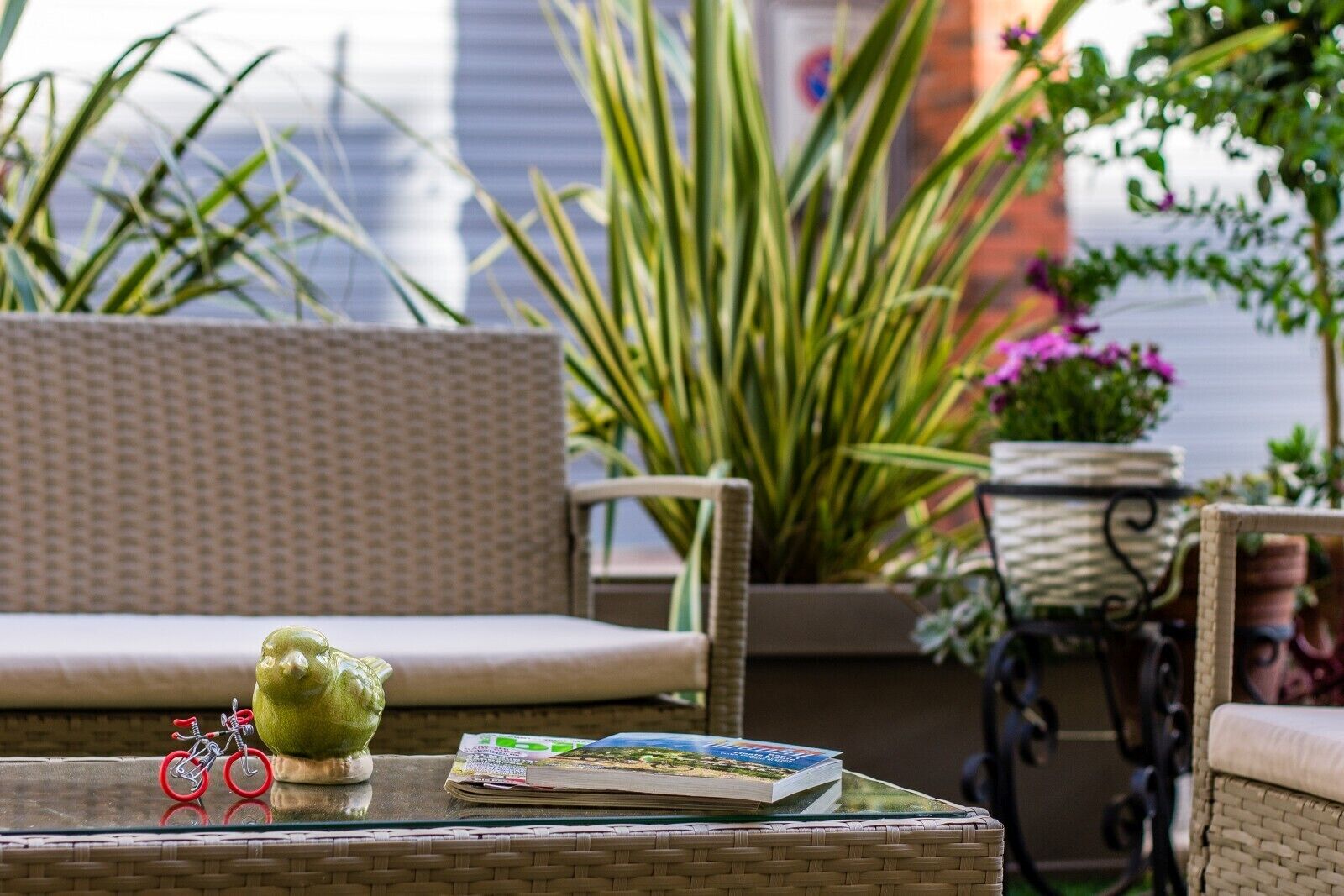 Parco della struttura