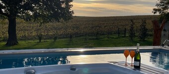 Best view on the Champagne vineyard