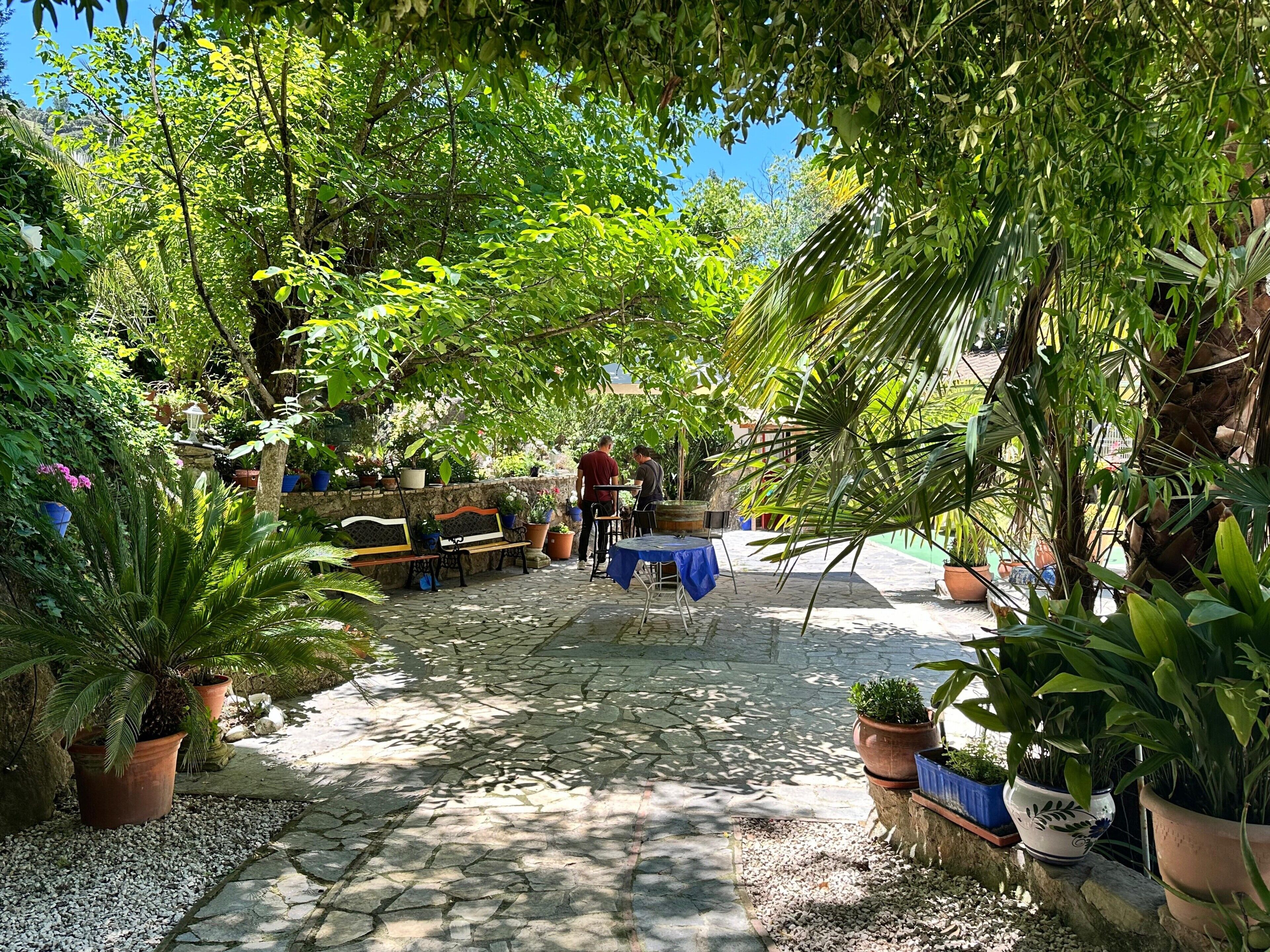 Terras
