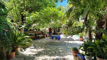 Terras