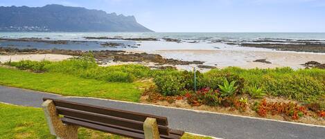 A bench on a grassy area with a path leading to a rocky beach and ocean.