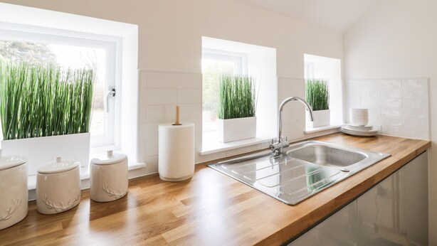 Eine moderne Küche mit einer Holz Arbeitsplatte, einem Edelstahl-Spülbecken und drei Fenstern mit Grünpflanzen.