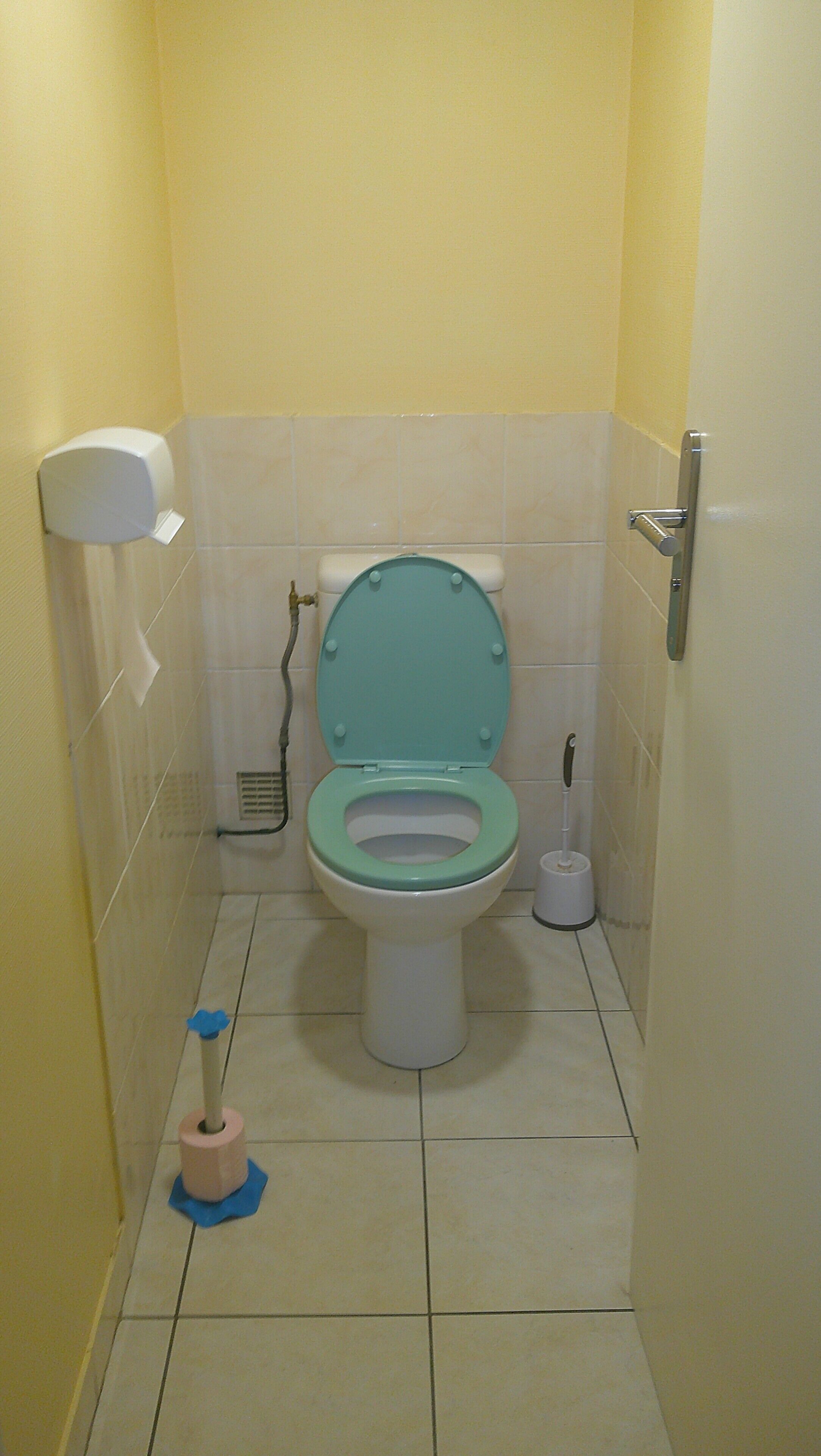 A small bathroom with a toilet, a toilet brush, and a paper towel dispenser.