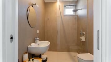 Regadera, secadora de cabello, bidet, toallas