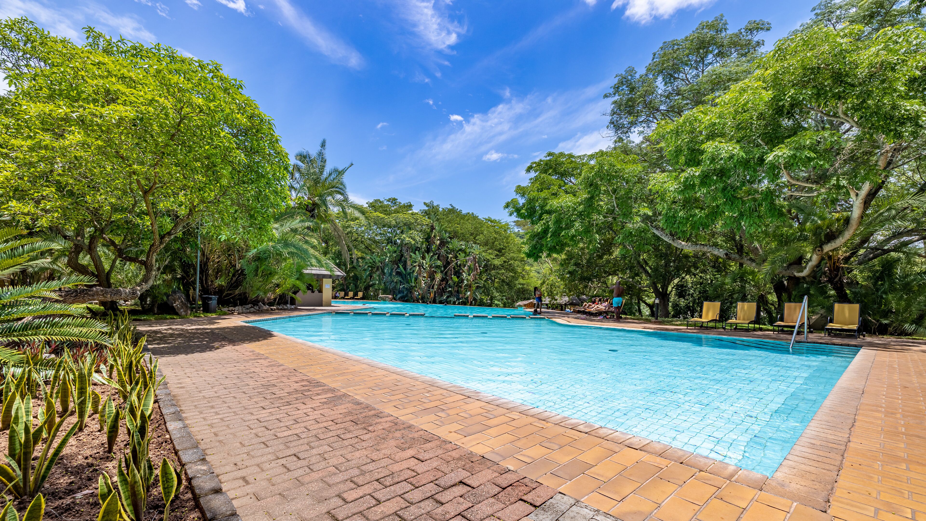 A swimming pool surrounded by lush greenery and trees.