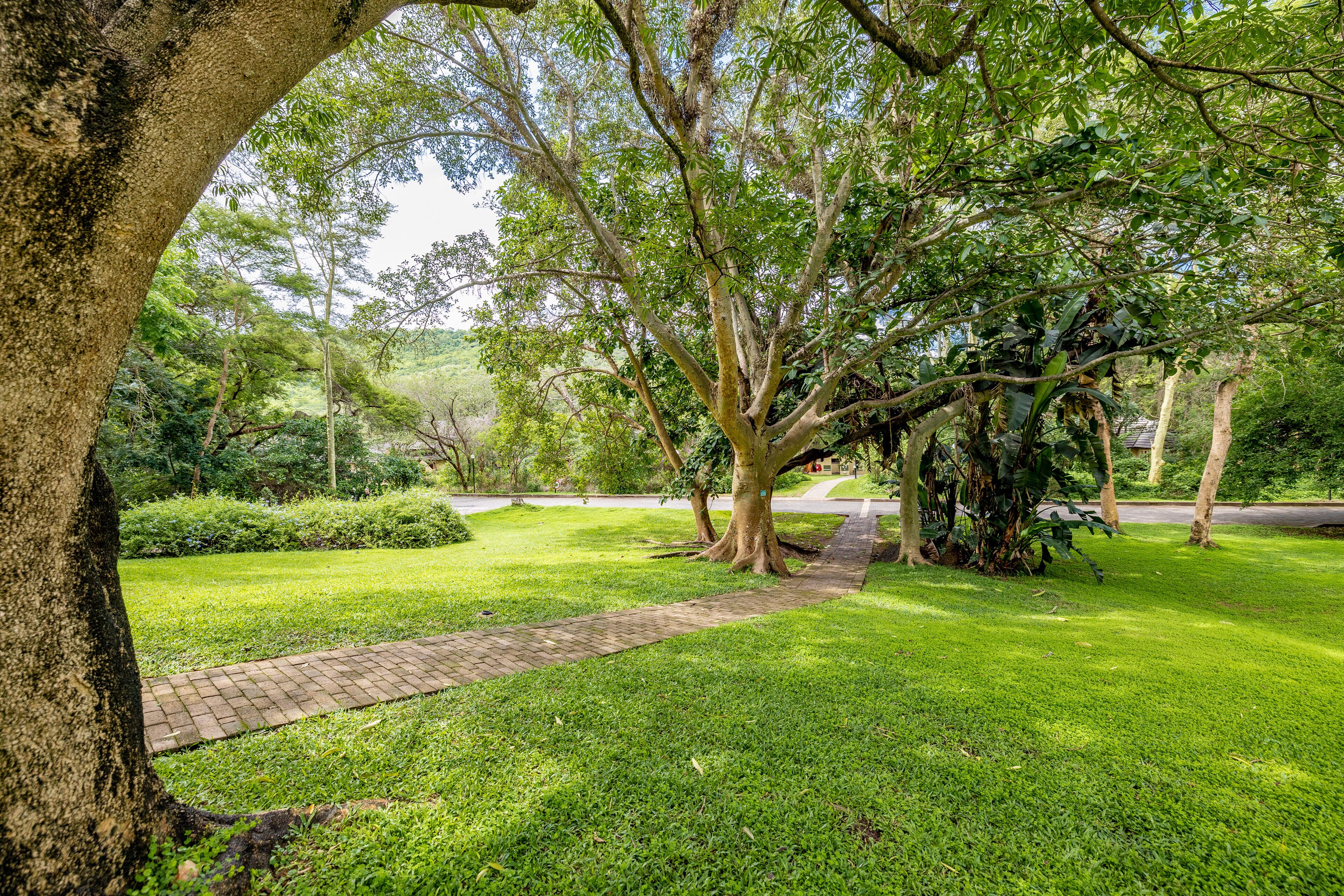 A paved pathway through a lush green park with mature trees and a clear sky.