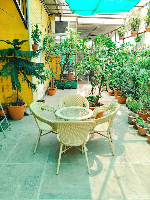 Vườn