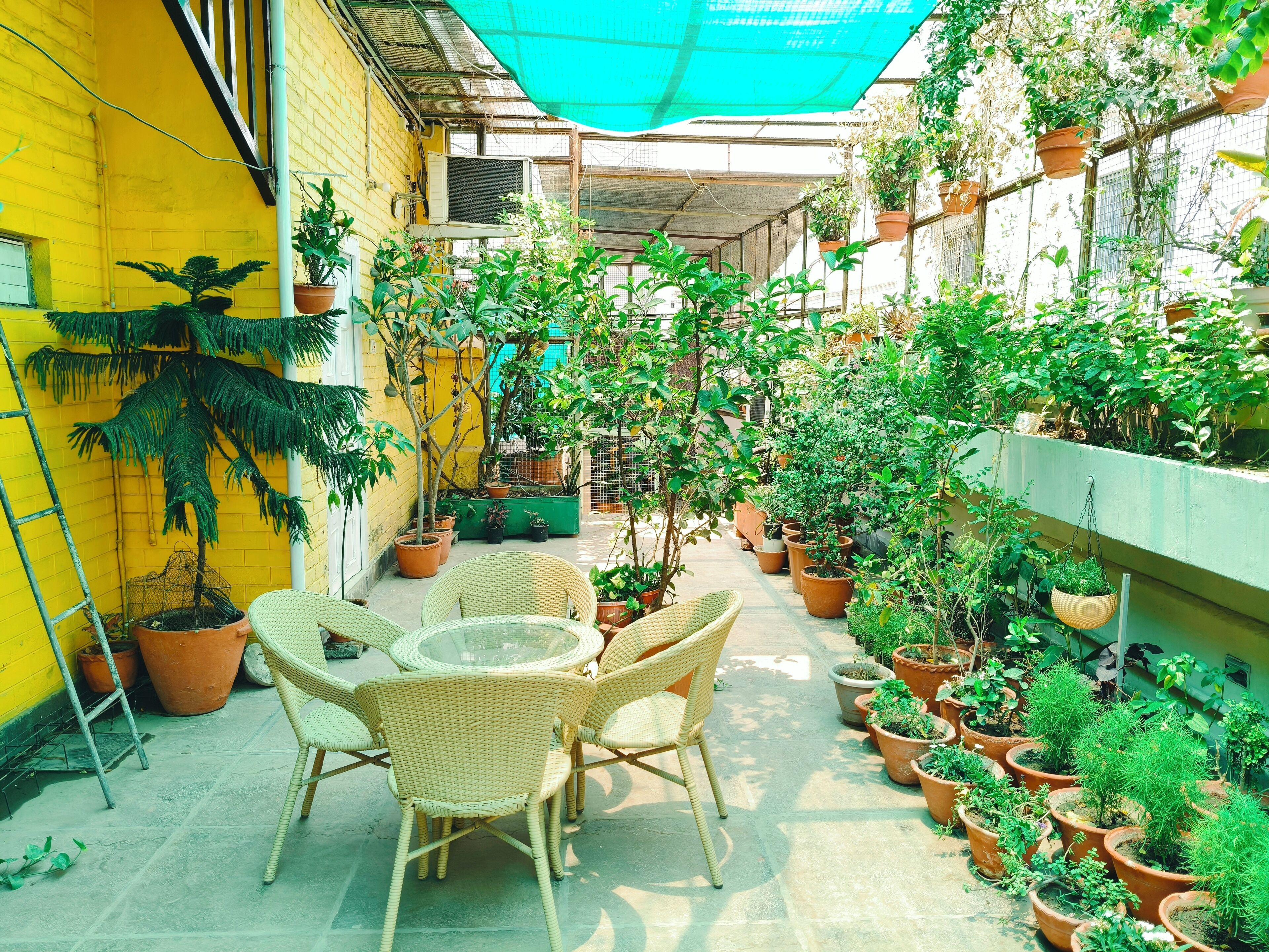 A covered patio area with wicker chairs, potted plants, and a yellow wall.