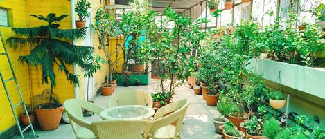 A covered patio area with wicker chairs, potted plants, and a yellow wall.