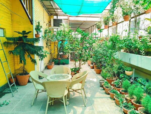 Vườn