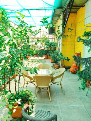 Jardín