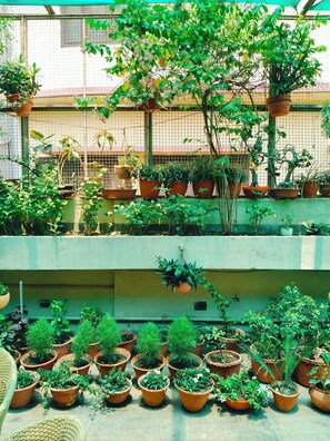 Jardín