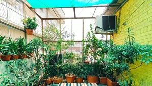A greenhouse with various potted plants and a striped mat on the floor. - Ratnakar Bhawan - Heritage Homestay (Varanasi)