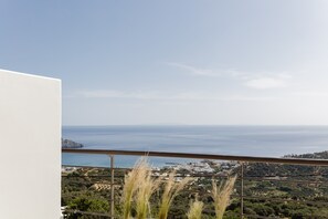 Vista del balcón