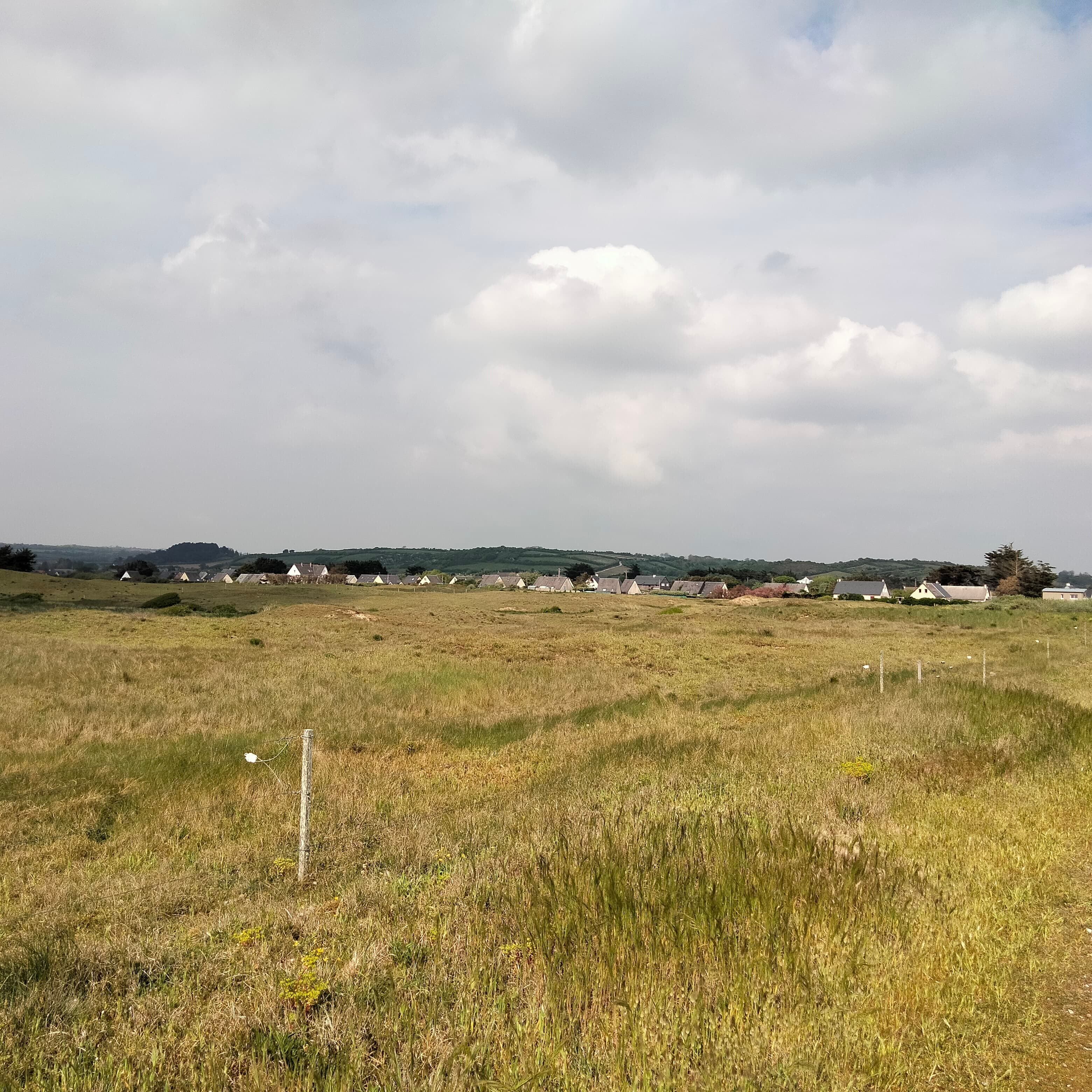 A rural landscape with a field, a fence, and a row of houses in the distance.