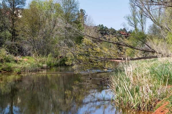 Un río tranquilo con árboles y una rama caída.