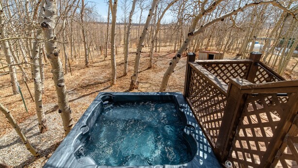 A hot tub surrounded by a wooden deck and birch trees. - Hot Tub in 39 Acres of Aspens - Mtn Views, 23mi to Breck, Pet-Friendly (Fairplay)