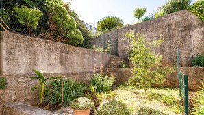 A garden with potted plants and a concrete wall. - Apartment Kos (Dubrovnik)