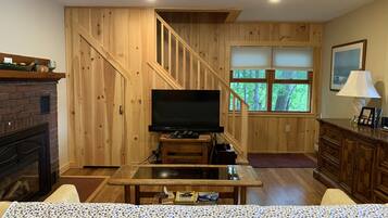 Télévision, cheminée, jeux vidéo, lecteur de DVD