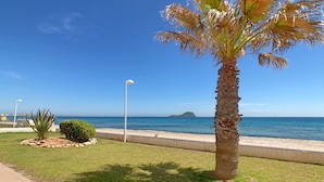 Una palma, una zona erbosa, un vialetto lastricato e vista sul mare con un'isola in lontananza.