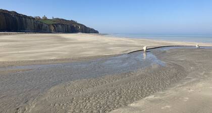 La Maison des petites BruyĂšres, dans la prairie de Varengeville