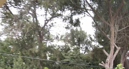 charming, central Achuza 3 room renovated