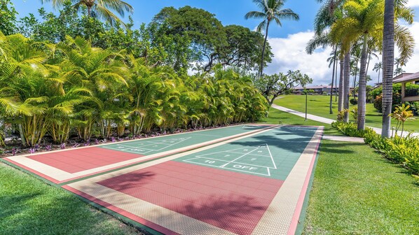 Shuffleboard-pelikenttä, jonka ympärillä on vehreää kasvillisuutta ja palmuja.