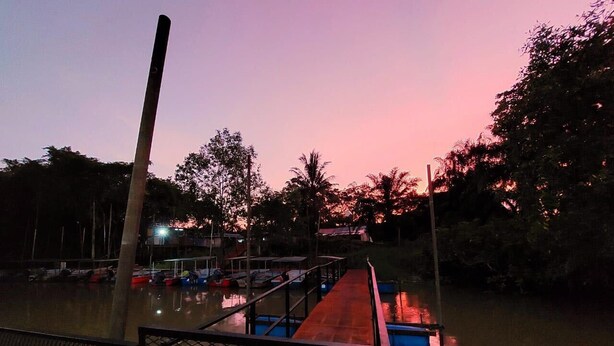 Un muelle con barcos, una pasarela de madera y una valla.