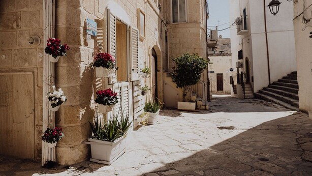 Una estrecha calle adoquinada flanqueada por edificios, algunos con macetas y plantas.